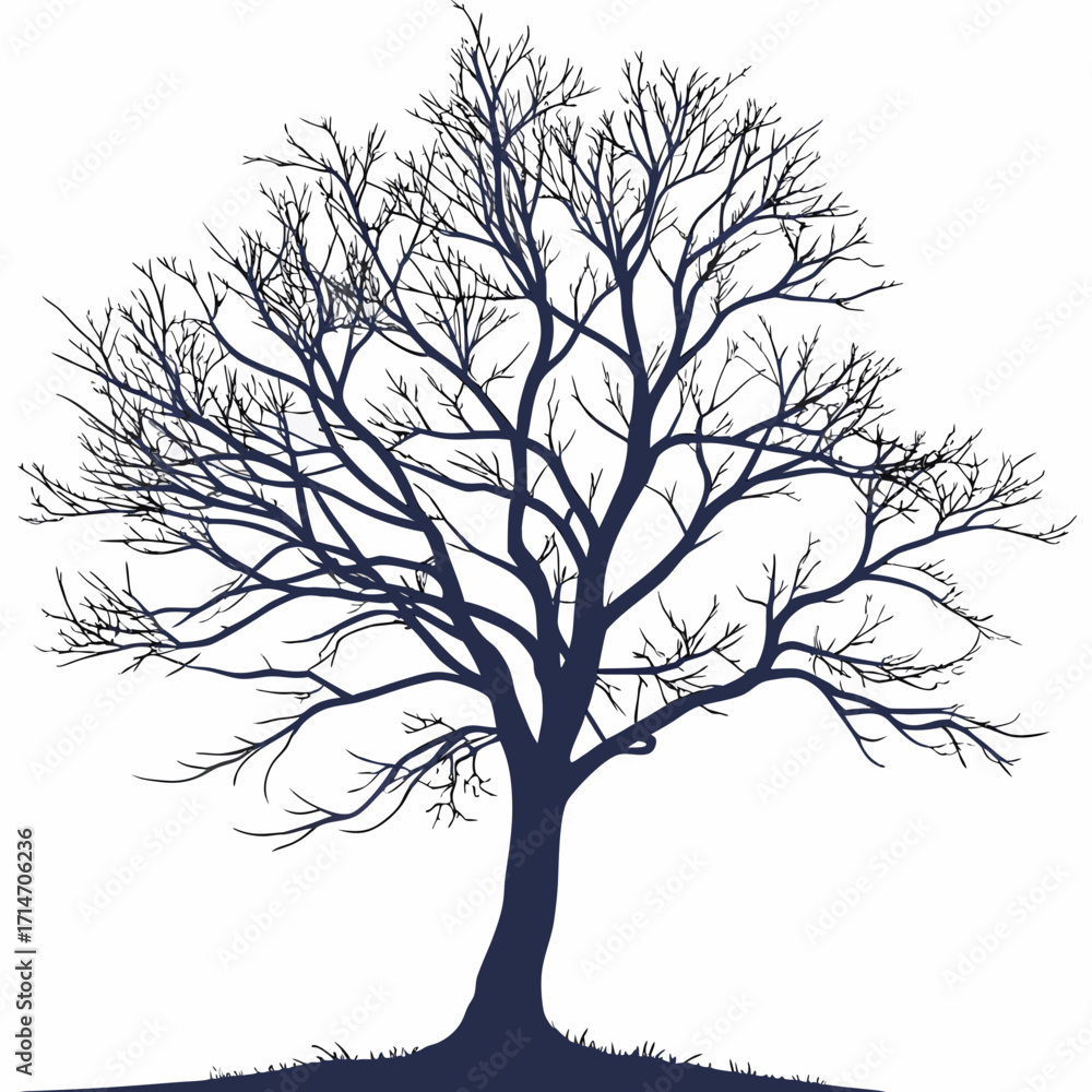 Obraz premium Dark silhouette of a bare tree with intricate branches against a white background