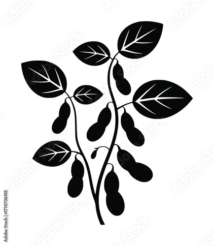Black Silhouette of a Soybean Plant with Pods and Leaves