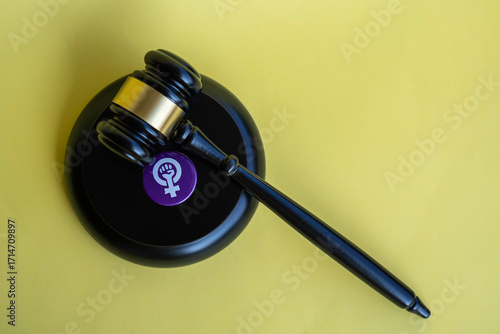 
Conceptual, feminist symbol, women's rights legislation, equality.
Social issues, women, feminist struggle