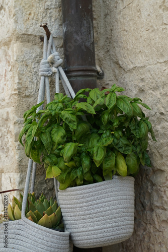 Artigianato e prodotti tipici di Gubbio, Umbria, Italia