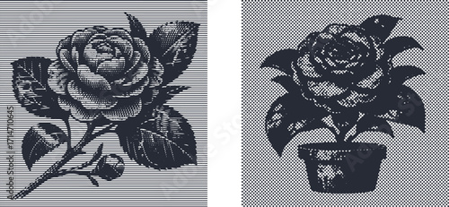 Vintage Floral Illustration Set with Retro Halftone and Engraved Line Art Style. Digital Botanical Rose Graphic for Print, Decorative Projects, and Classic Design Assets.