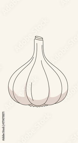 A simple line drawing of a garlic bulb on a light background.