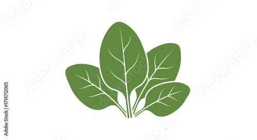 Green spinach leaves graphic on white background.
