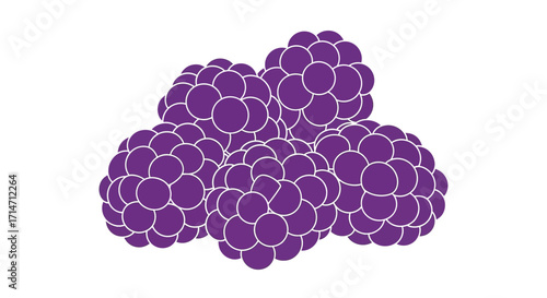 Pile of purple berries on a white background.
