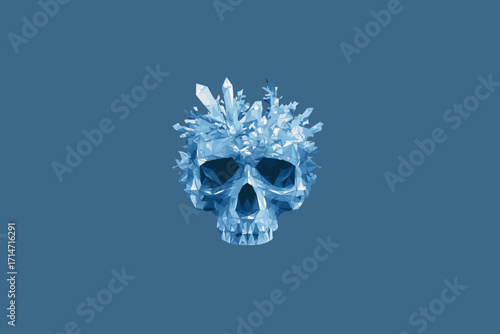 skull and crossbones