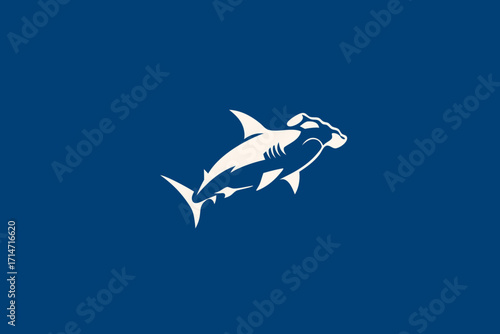 shark, fish, sea, dolphin, animal, ocean, underwater, 