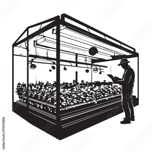 Greenhouse farmer observing plants cultivation agriculture