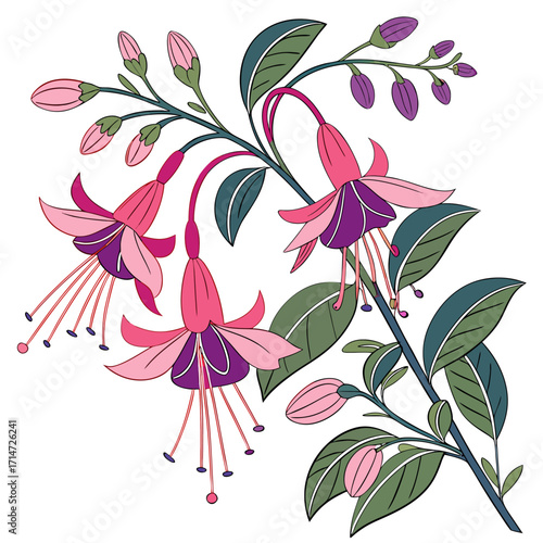 seamless pattern with erica carnea