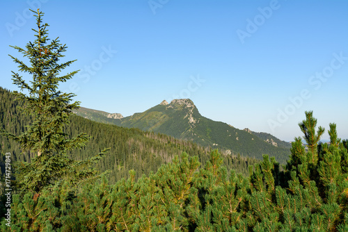 góry Tatry, widok na Giewont