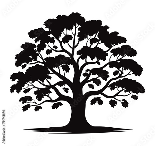 Black oak tree silhouette vector with wide canopy and dense foliage, realistic natural element for landscape design, eco projects, decorative artwork, and environmental illustrations.