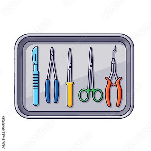 Surgical instruments neatly arranged on a metal tray.