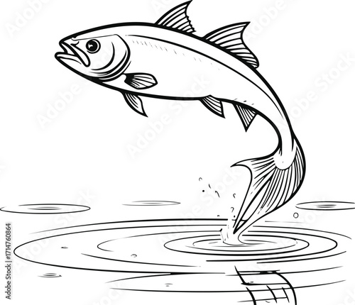 Black bold outline with white background, Minimal line drawing of fish jumping out of water with ripples 1