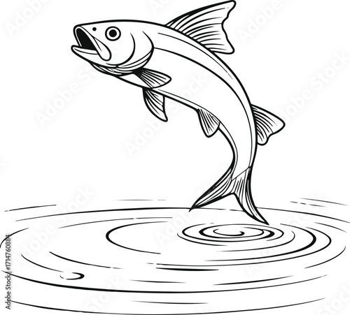 Black bold outline with white background, Minimal line drawing of fish jumping out of water with ripples 2