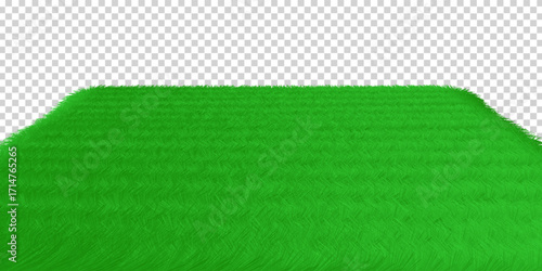 Green Grass Isolated Transparent background. Vector eps10