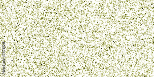 Abstract White granite terrazzo floor seamless pattern. black for bathroom or kitchen countertop. stone pattern old surface marble for background.	
