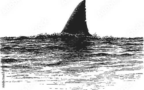Shark fin sketch hand drawn style emerging from ocean surface — stock vector