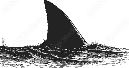 Shark fin sketch, hand drawn dorsal fin above ocean waves — stock vector