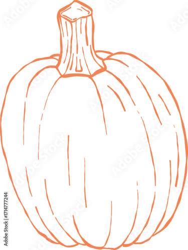 Orange pumpkin outline, Halloween clip art, autumn icon decor
