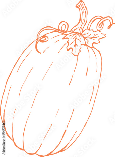 Orange pumpkin outline, Halloween clip art, autumn icon decor