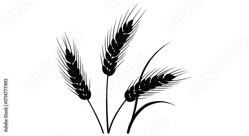 Simple black and white illustration of three wheat stalks on white background