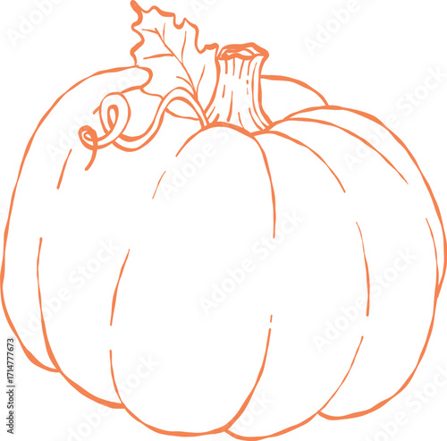 Orange pumpkin outline, Halloween clip art, autumn icon decor