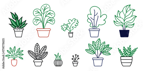 Collection of potted houseplants in minimalist line art style