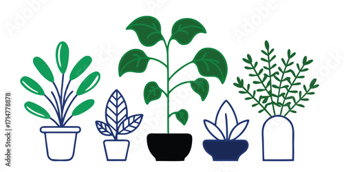 Collection of Five Potted Houseplants in Various Styles
