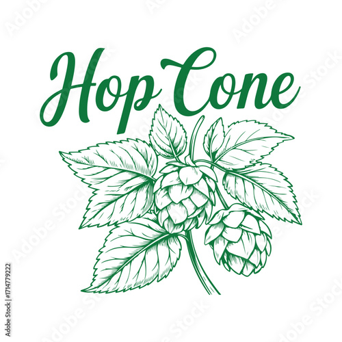 Vector art of green illustration of hop cones with the text hop cone above