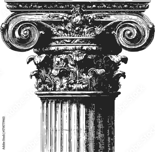 Corinthian column capital sketch, hand drawn, ornate acanthus leaves and volutes — stock vector