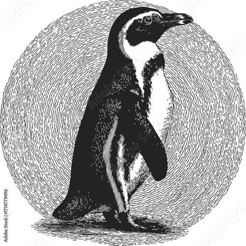 Penguin sketch hand drawn vintage style with textured circular background — stock vector