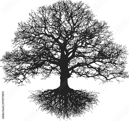 Tree silhouette sketch hand drawn with bare branches and visible roots — stock vector
