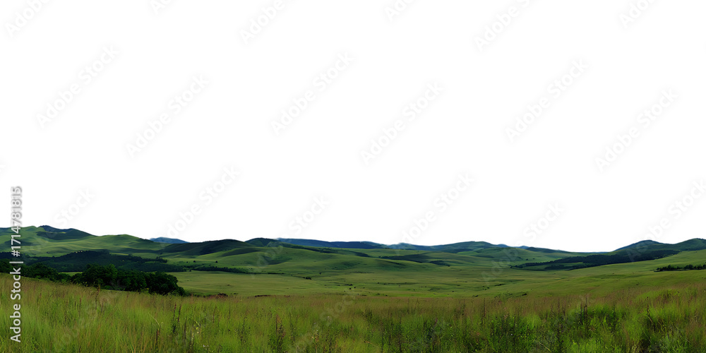 Obraz premium Green Grass Field with Rolling Hills Landscape Isolated on Transparent Background