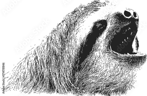 Sloth head sketch, hand drawn style, open mouth, expressive animal portrait — stock vector