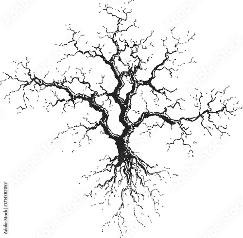 Tree silhouette sketch, hand drawn bare branches and roots, isolated on white — stock vector