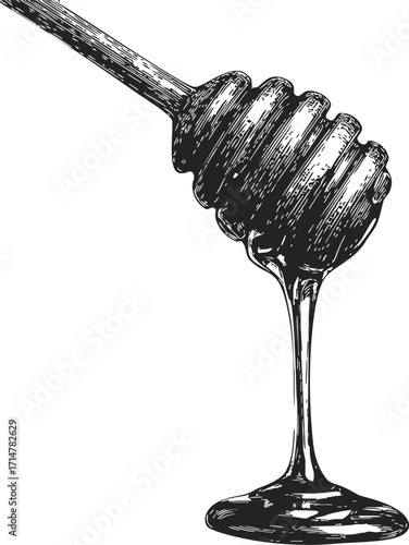 Honey dipper sketch hand drawn with honey dripping, rustic kitchen utensil — stock vector
