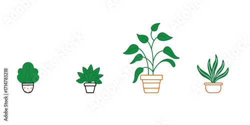 Collection of Four Potted Houseplants in Different Sizes and Shapes