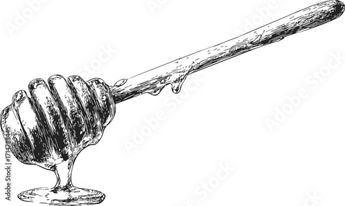 Honey dipper sketch hand drawn with honey dripping, rustic kitchen utensil — stock vector
