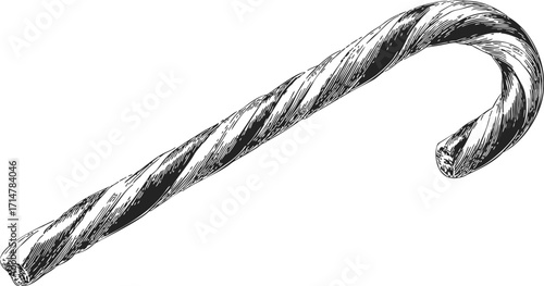 Candy cane sketch hand drawn style with curved striped shape — stock vector