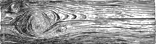 Wood plank sketch hand drawn with detailed grain texture and knots — stock vector