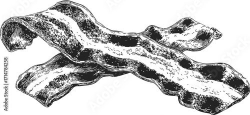 Bacon strips sketch hand drawn style detailed food illustration — stock vector