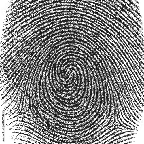 Fingerprint sketch hand drawn spiral pattern closeup black and white — stock vector