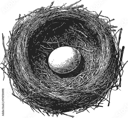 Bird nest sketch hand drawn with single egg in center — stock vector