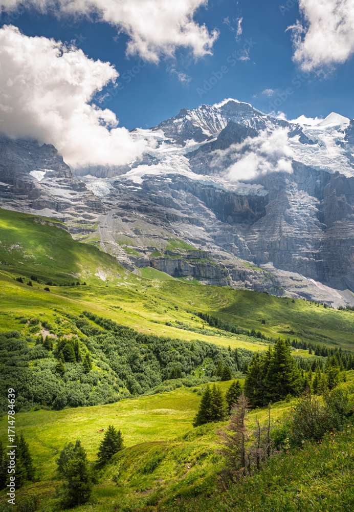 Fototapeta premium Landscape at the foot of the Jungfrau mountain in the Bernese Oberland region of Swiss Alps