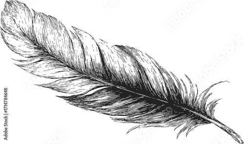 Feather sketch hand drawn detailed black and white engraving — stock vector