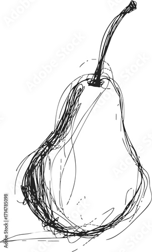 Pear sketch hand drawn scribble style with rough lines — stock vector