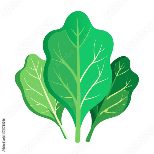 Vibrant green spinach leaves illustration