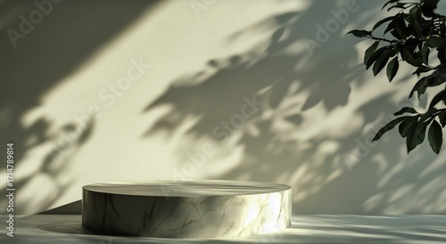 Bright Marble Surface Illuminated by Soft Shadows and Greenery in a Serene In...