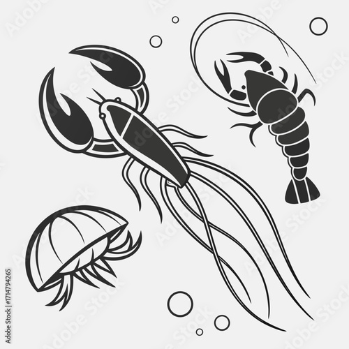 Illustration of a jellyfish, a lobster, and a mantis shrimp