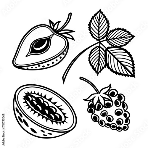 Berry and fruit halves vector illustration