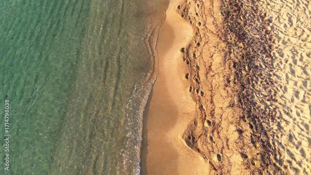 High-resolution aerial drone image showcasing a picturesque beachfront resort scene. Neatly arranged white umbrellas and lounge chairs line the golden sandy shore, while colorful hotel buildings with 